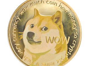 Super duper Doge 2026